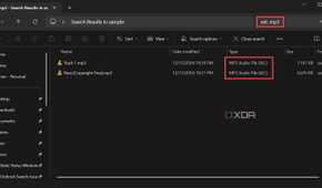 Using ext filter in search