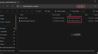Using ext filter in search