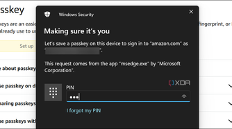 showing how to verify windows device with Windows hello PIN