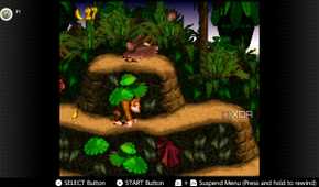 Screenshot of Donkey Kong Country for the Super Nintendo on the Nintendo Switch Online service