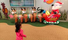 IMG20241213171555