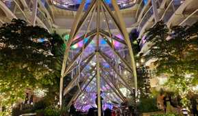 IMG20241215193414