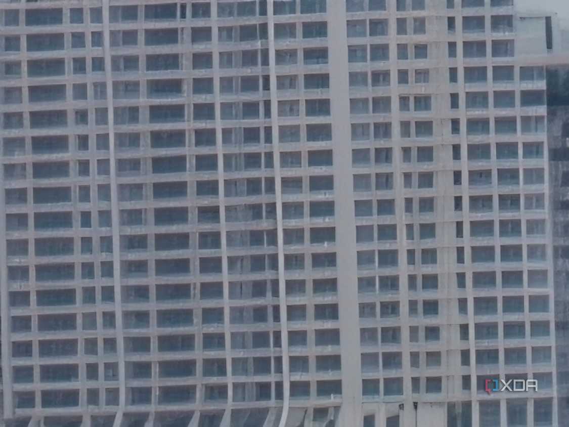 IMG20241216073052