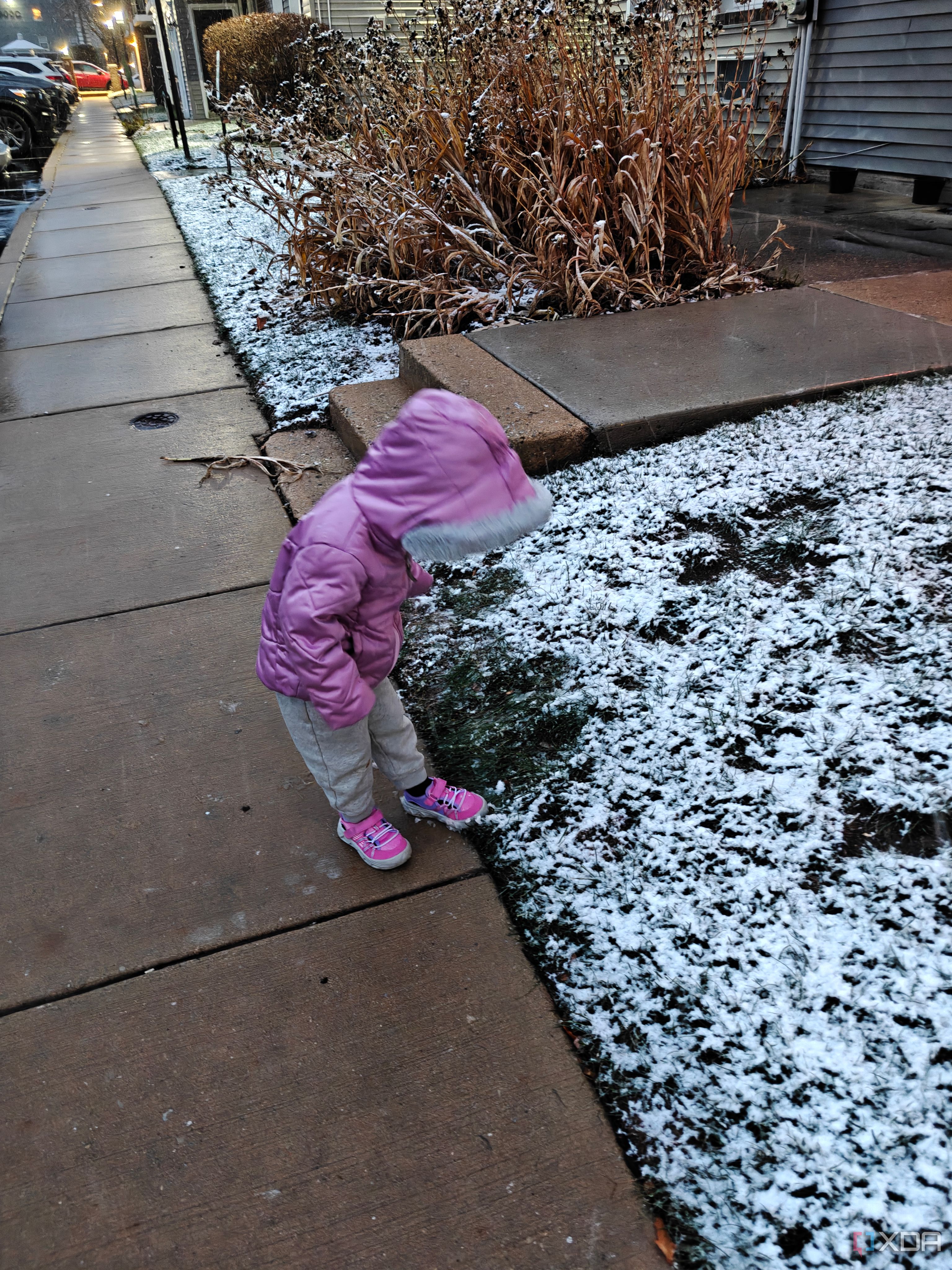 IMG20241220165428