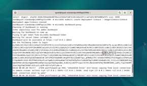 Opening the K8s Dashboard