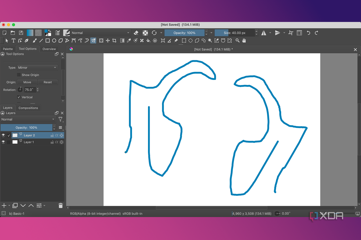 Krita Multibrush mirror tool