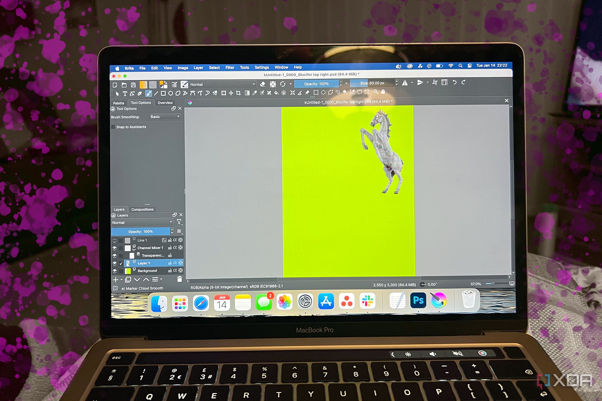 Krita en MacBook con toques rosas a su alrededor