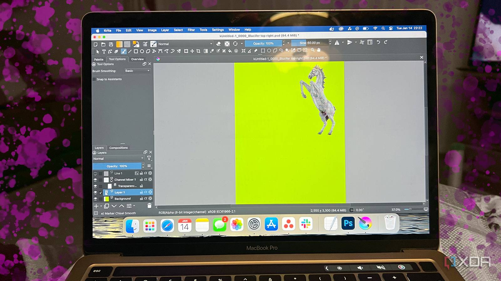 Krita on MacBook with pink splashes around it