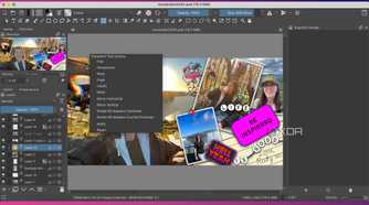 Krita Transform Tool settings
