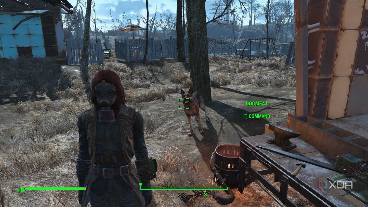 a player character with the dog companion in fallout 4