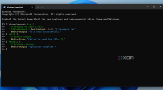 powershell try-catch-finally function
