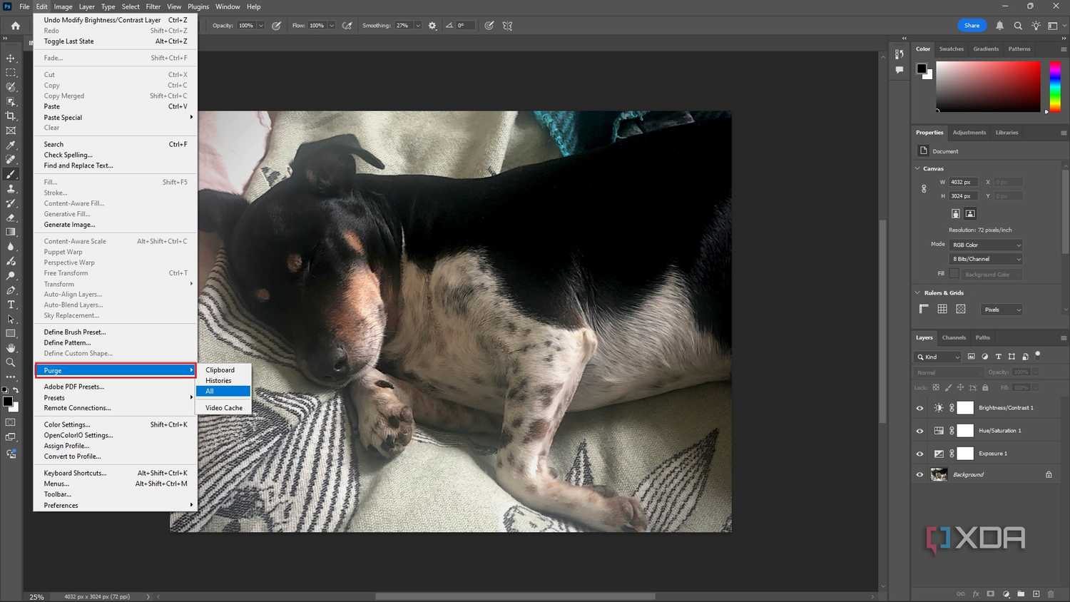 Purging All memory in Photoshop, image of dog in editing window