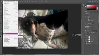 Purging All memory in Photoshop, image of dog in editing window