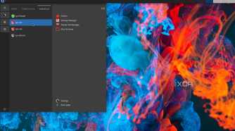 The services tab in Qubes OS