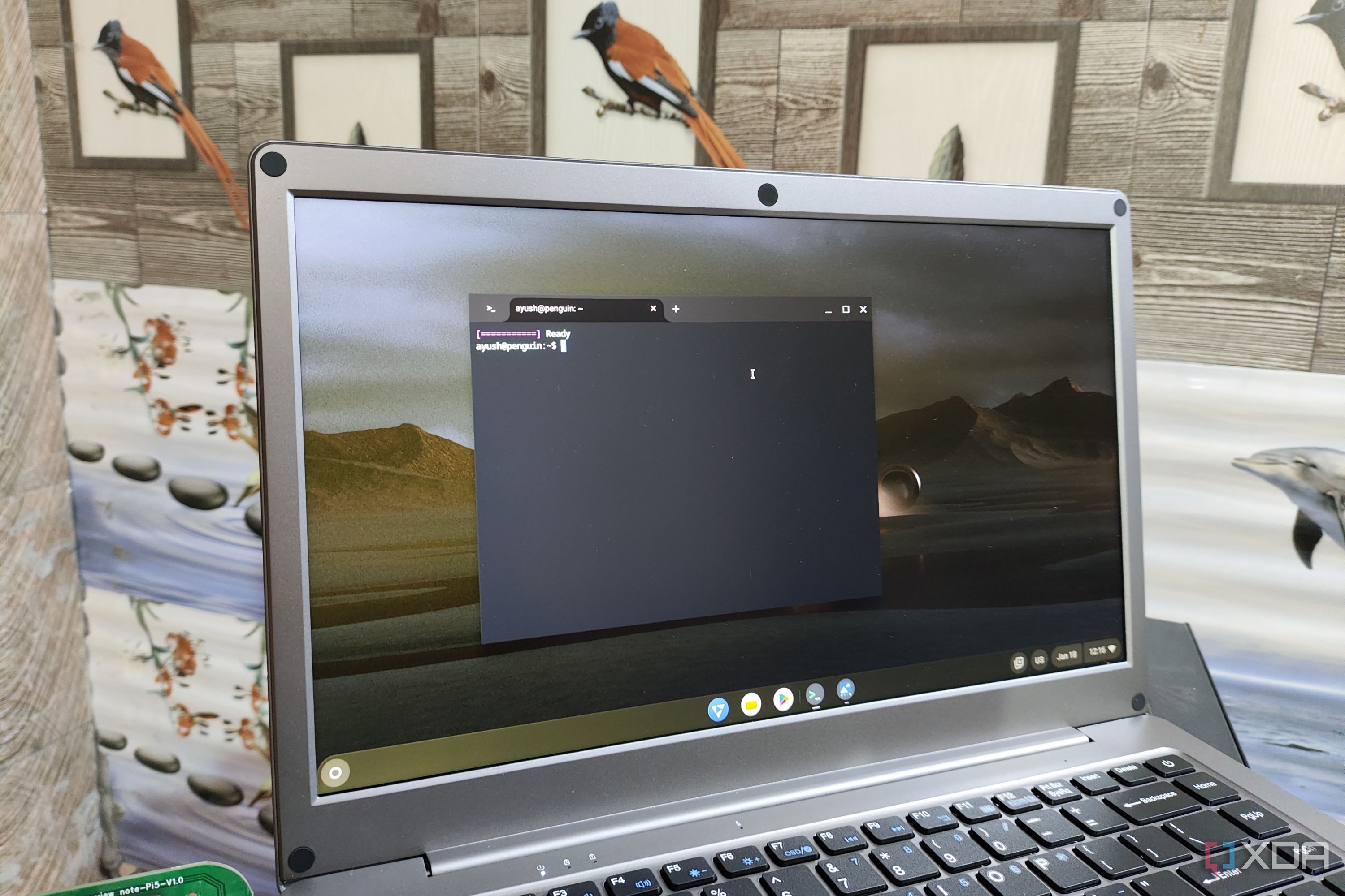 5 unconventional Raspberry Pi projects