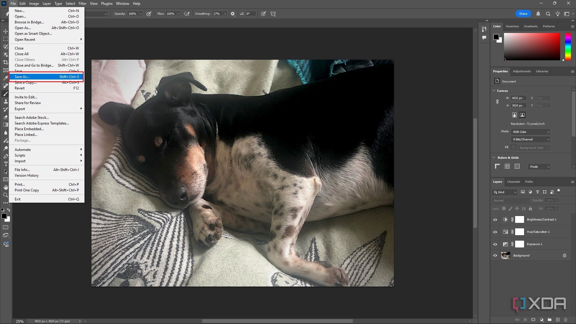 Selecting the default save location in Photoshop, image of dog in editing window