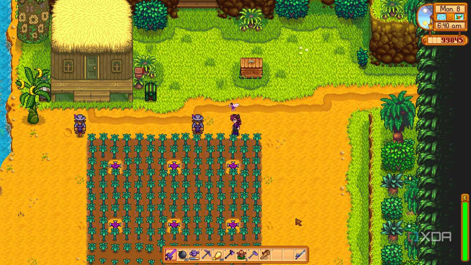 the ginger island farm in stardew valley.