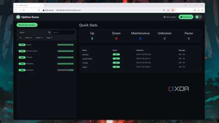 4 causes Plex is pushing me additional and additional in opposition to Jellyfin Monitoring containers in Uptime Kuma
