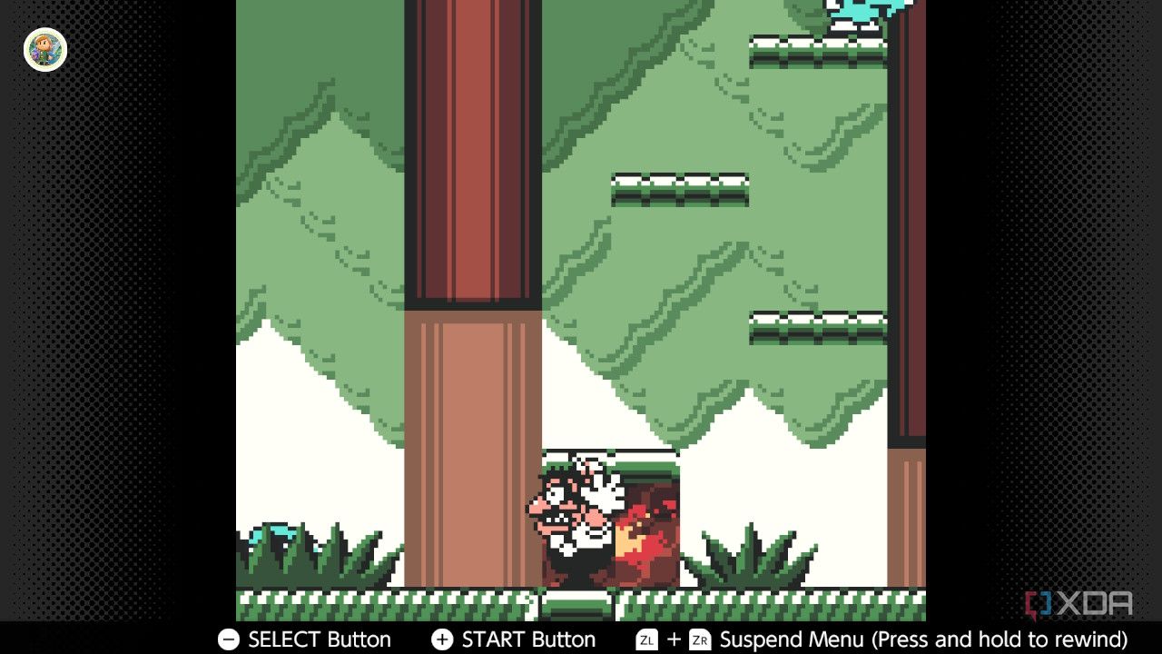 Screenshot of Wario Land 3 on the Game Boy Color on the Nintendo Switch Online service