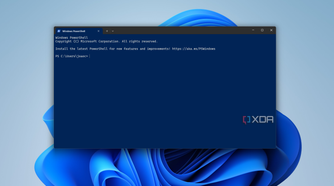 Screenshot of Windows PowerShell on Windows 11