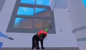 Black cat wearing a strawberry hat in Little Kitty, Big City