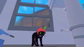 Black cat wearing a strawberry hat in Little Kitty, Big City