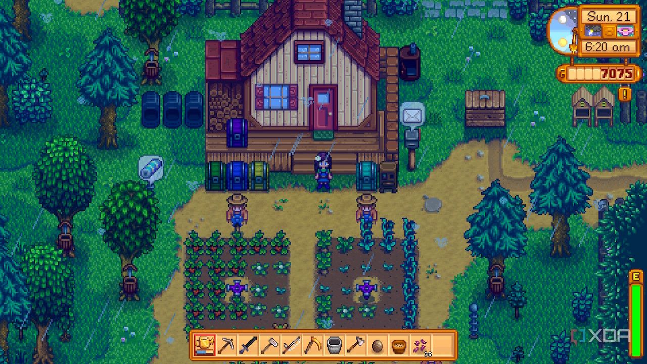 Avatar walking toward farm in Stardew Valley