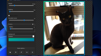 beautifying effects in sharex
