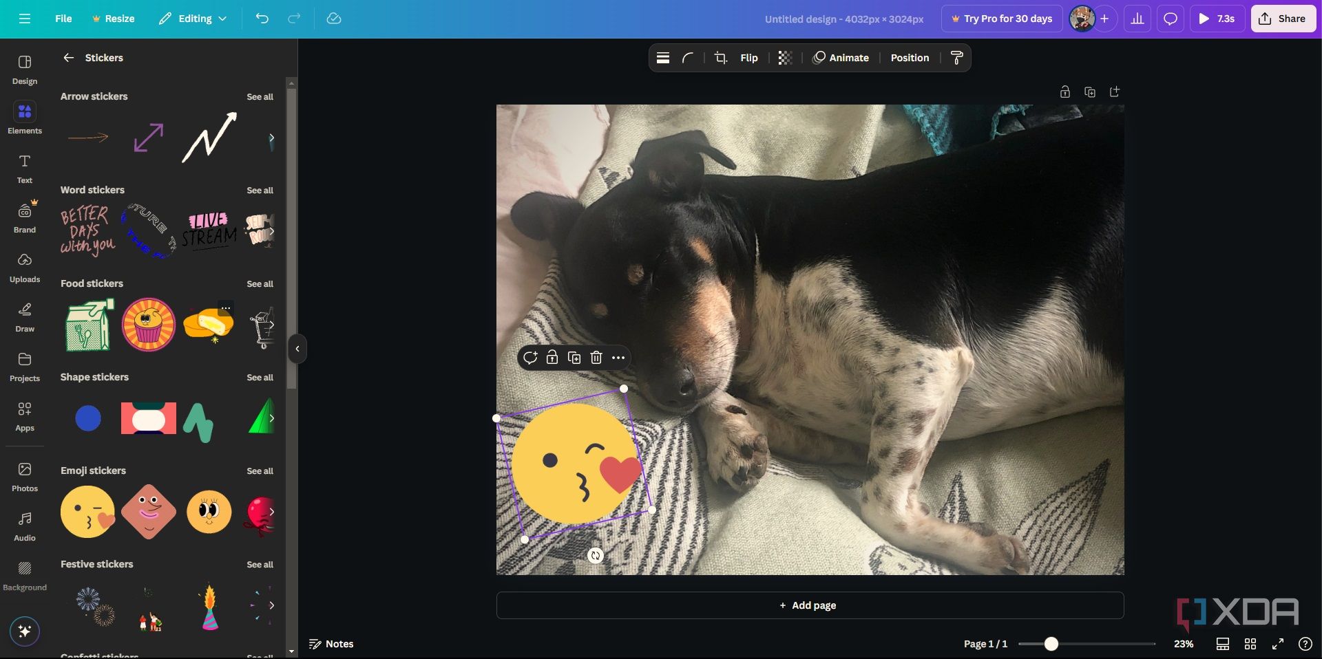Stickers in Canva, image of dog in editing window