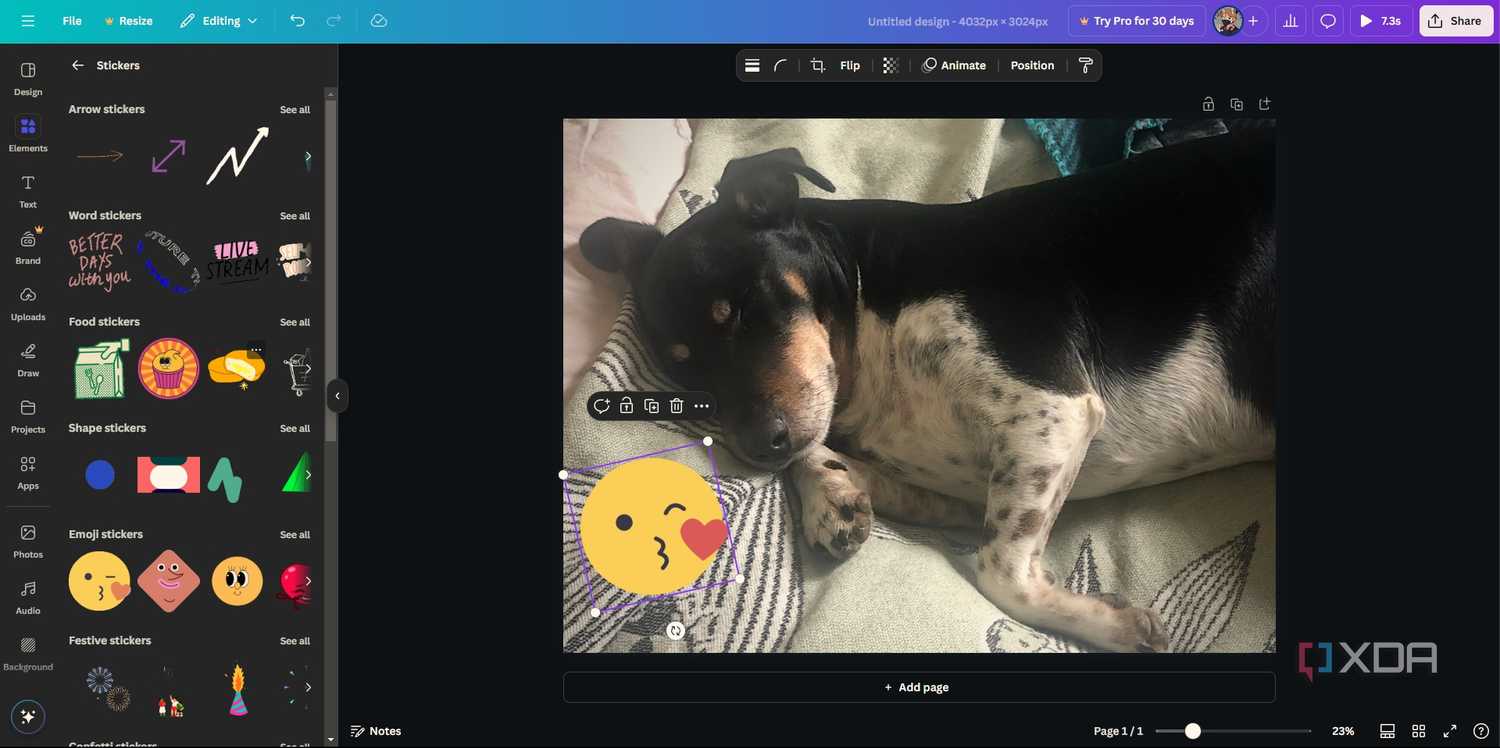 Stickers in Canva, image of dog in editing window