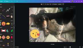 Stickers in Canva, image of dog in editing window