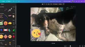 Stickers in Canva, image of dog in editing window