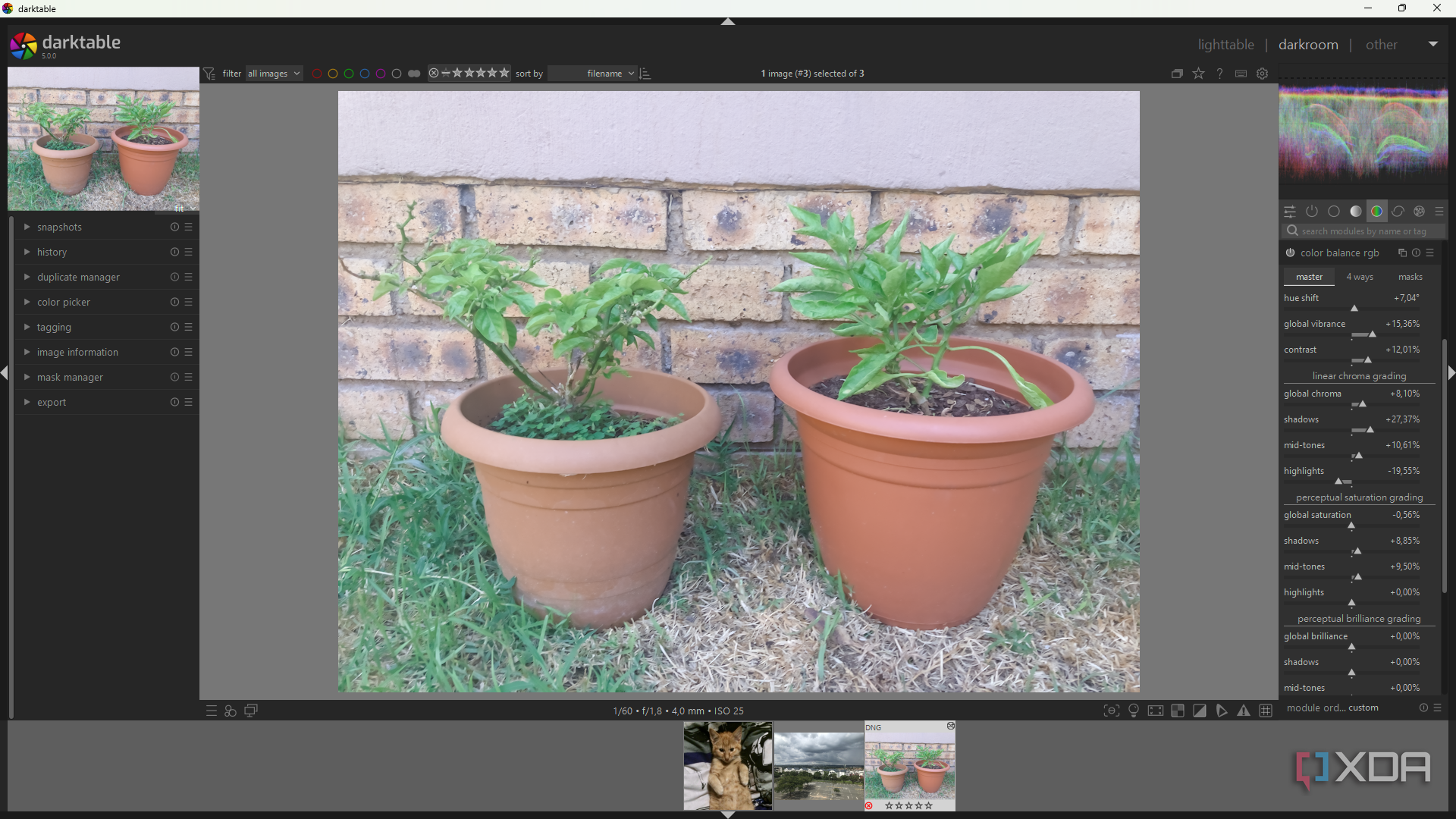 6 reasons Darktable is better than Adobe Lightroom for hobbyist photo ...
