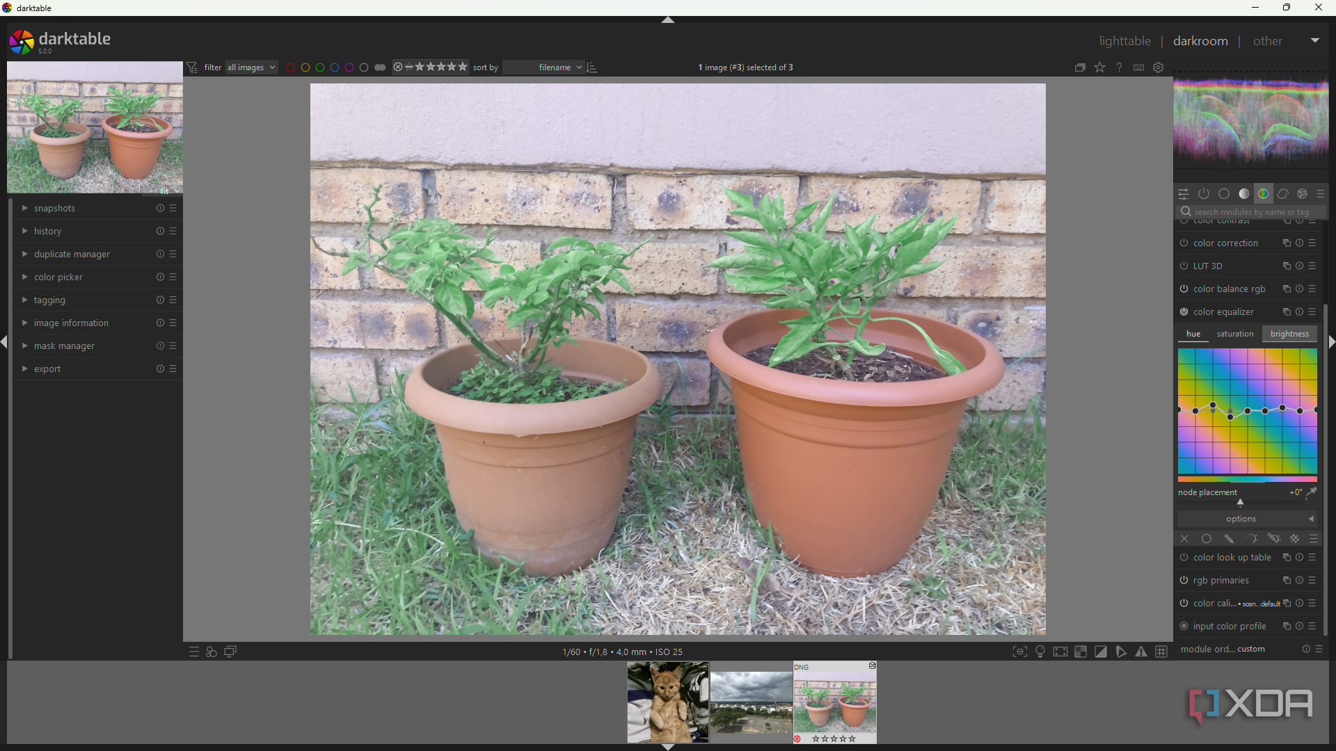 Color equalizer in Darktable, image of potplants