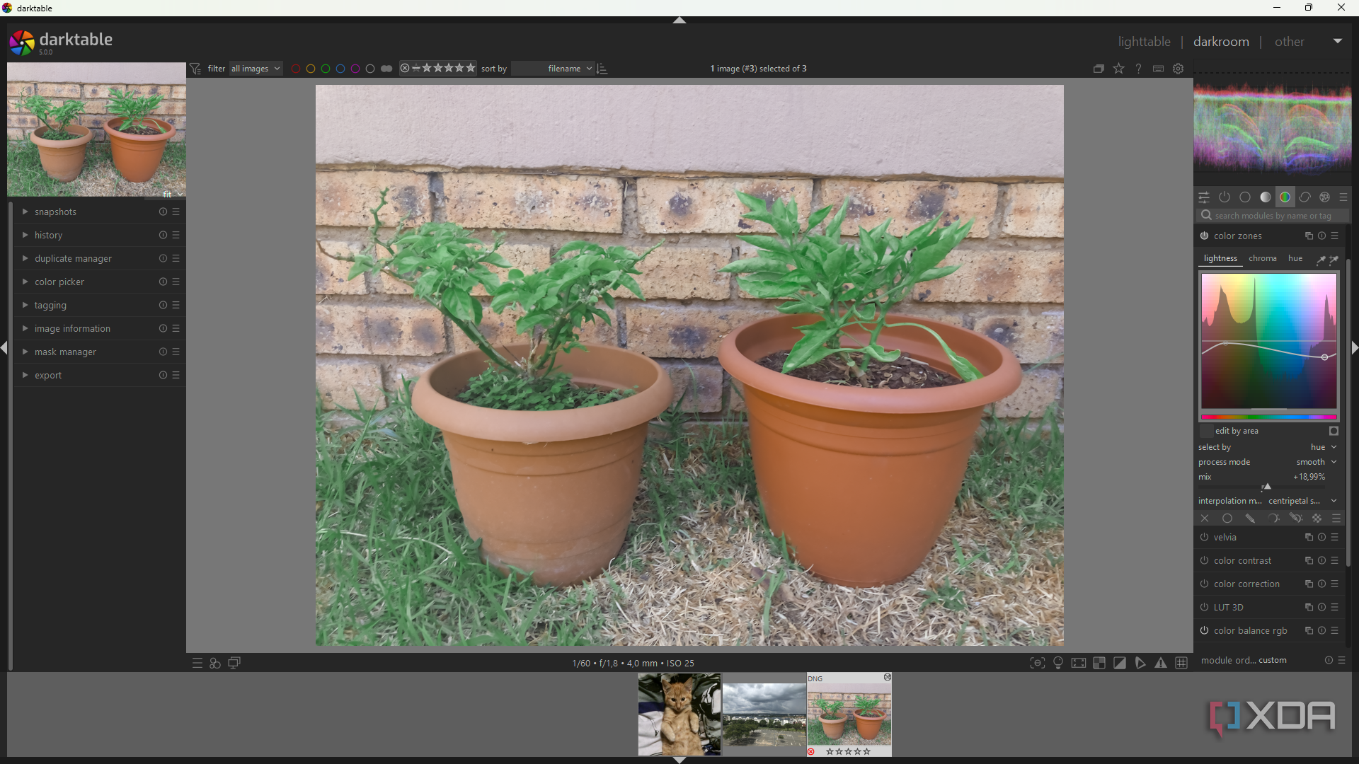 Color zones in Darktable, image of potplants