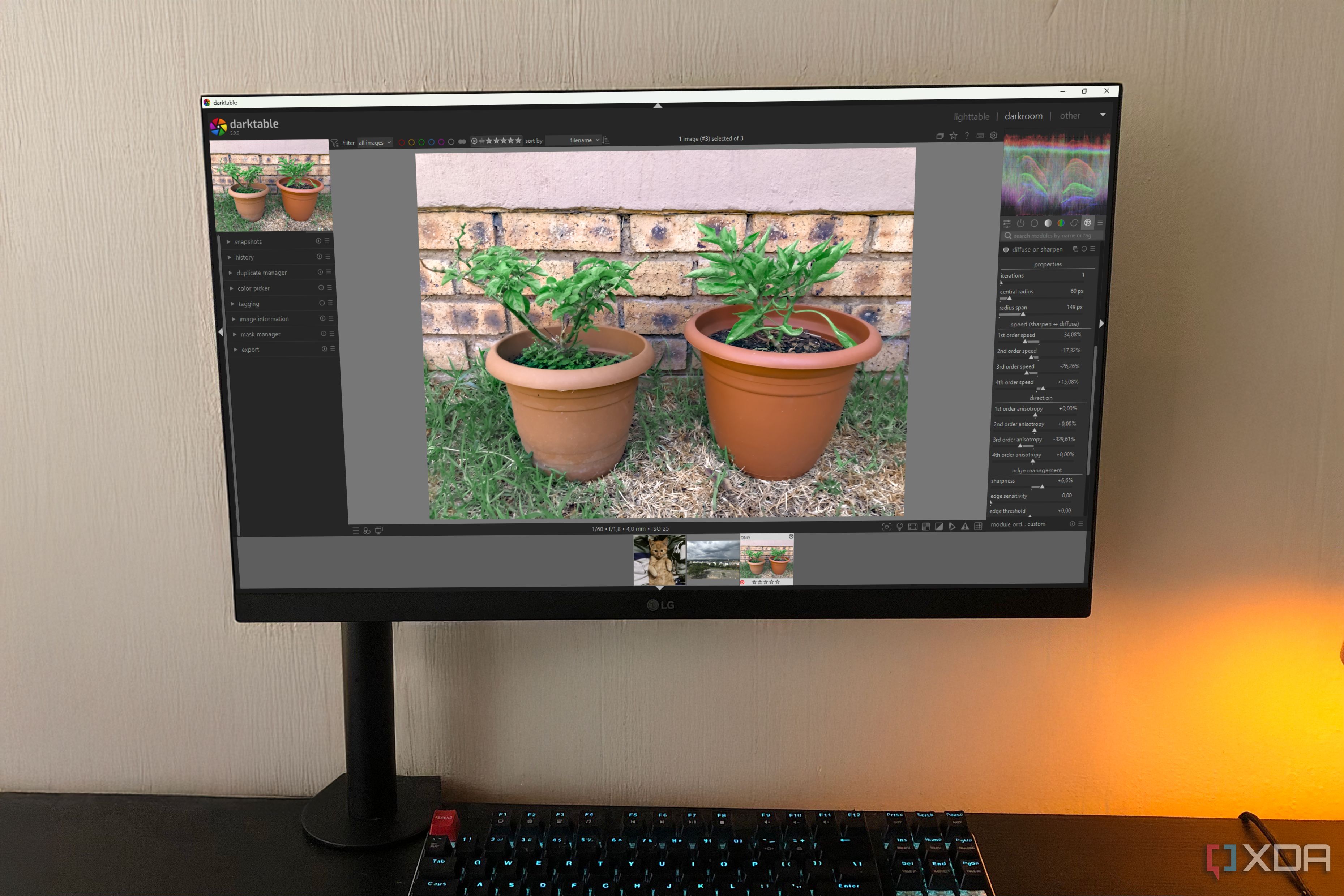 Darktable en PC de escritorio, imagen de plantas en macetas