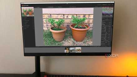 Darktable on desktop, description of grass plants