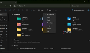 File Explorer Filter