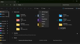 File Explorer Filter