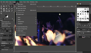 screenshot showing edting live photo in GIMP
