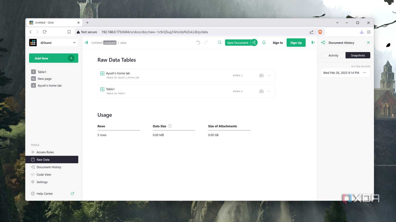 The Raw Data Tables section on Grist's web UI