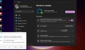 Launching Windows Update settings using run command