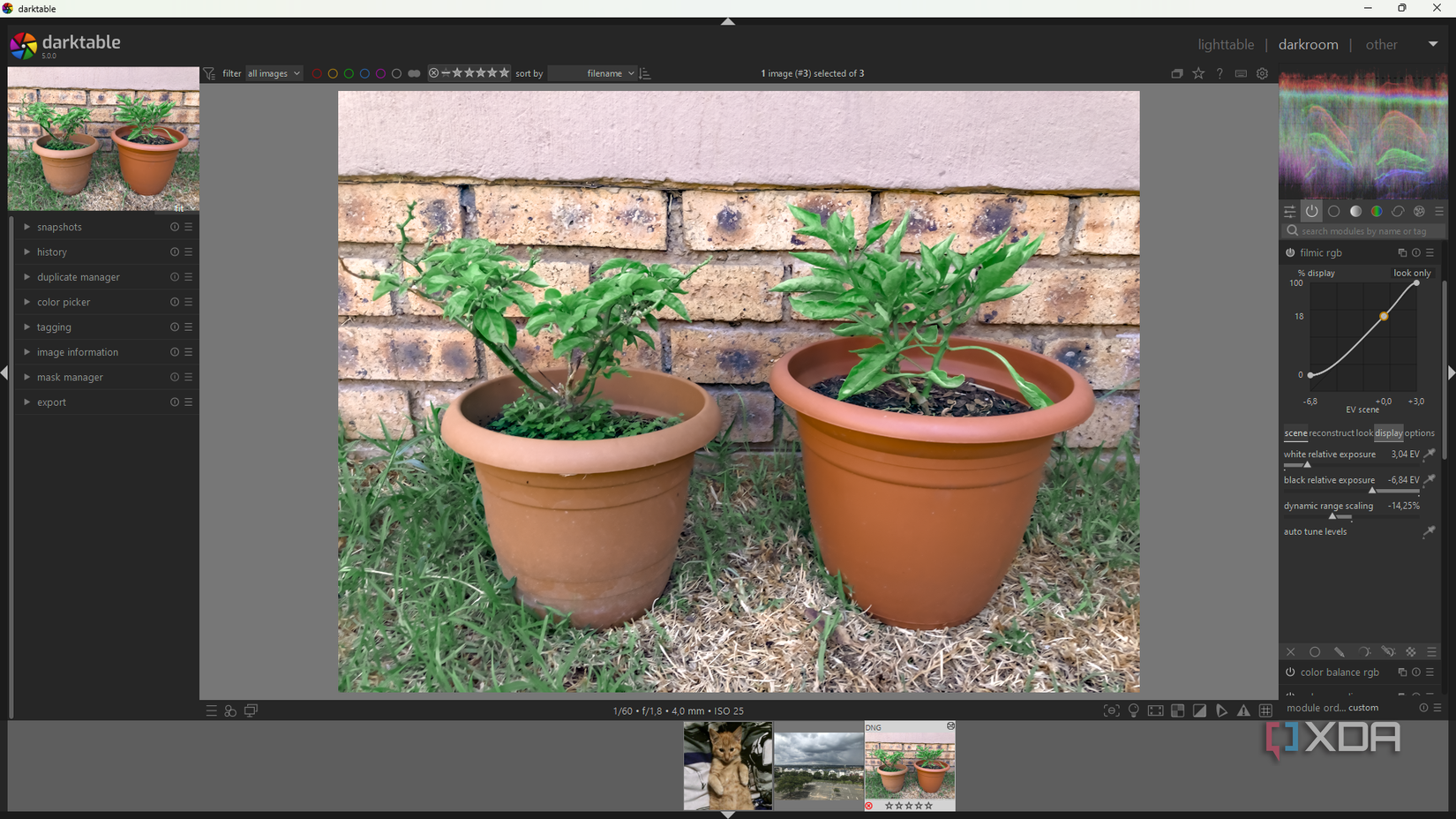 Manually adjusting Filmic RGB in Darktable, image of potplants