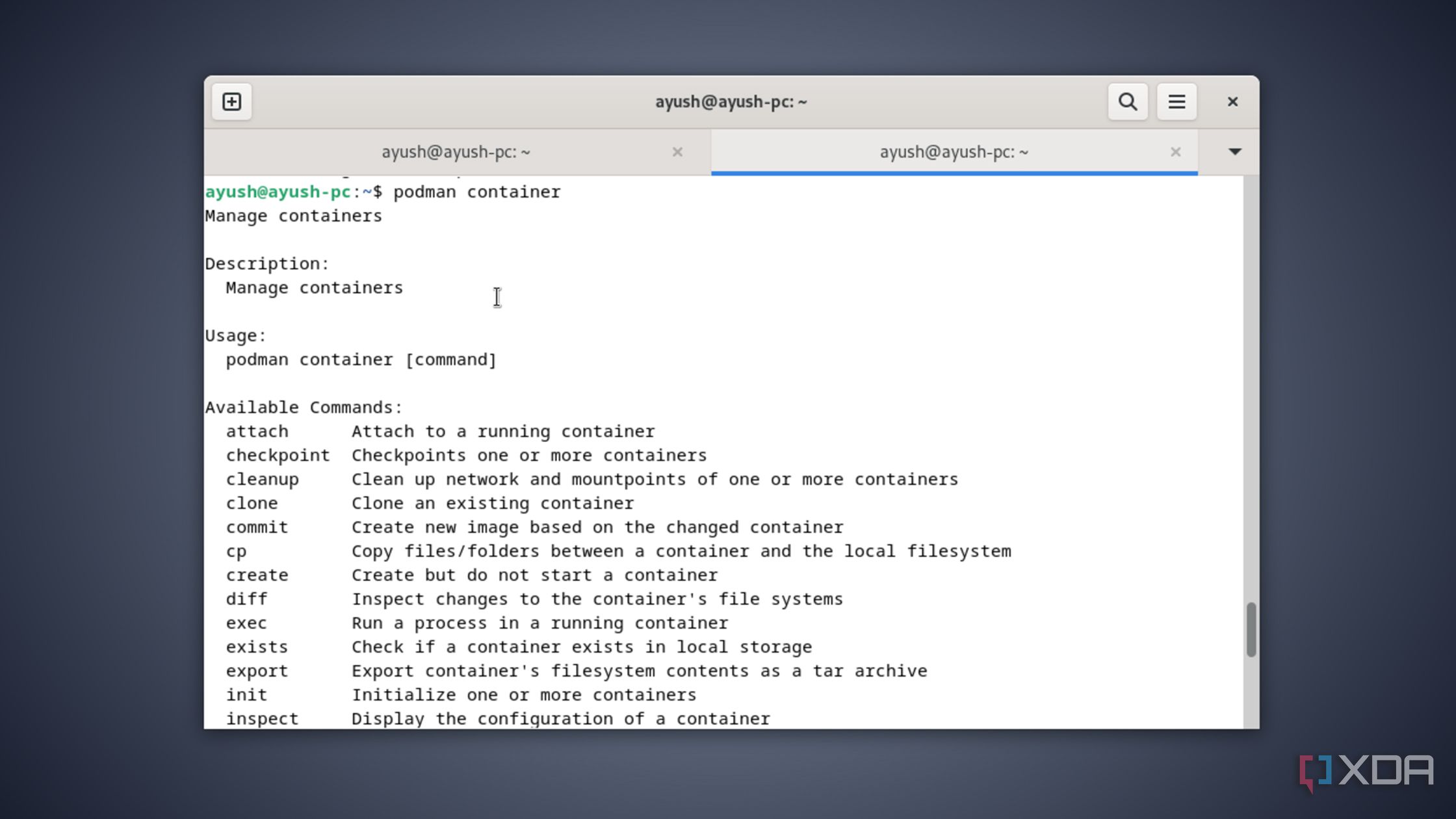 Running the podman container command