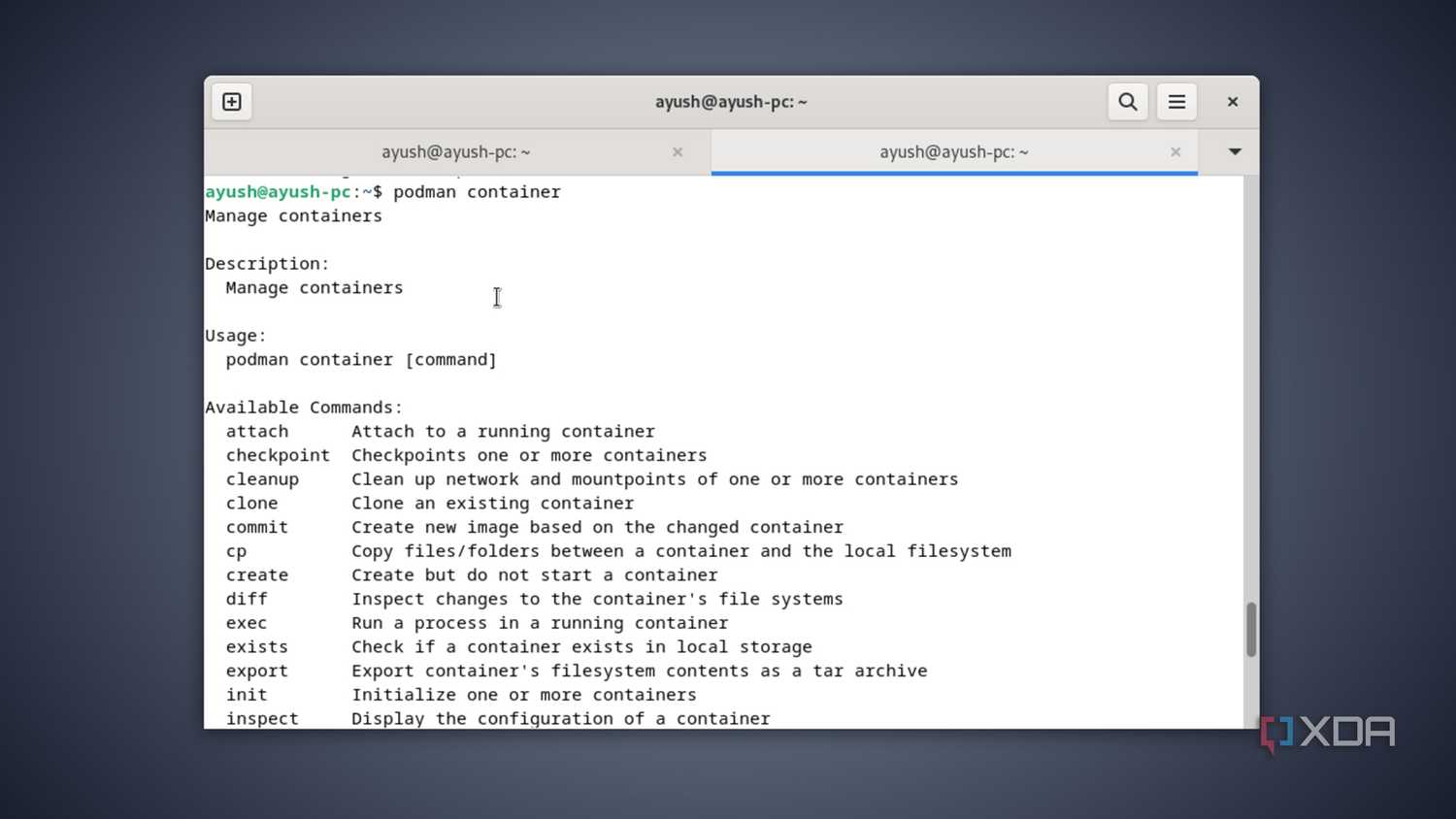 Running the podman container command