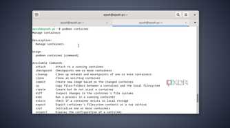Running the podman container command