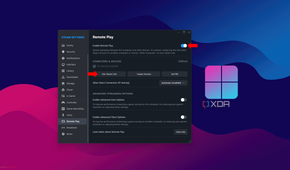 Remote Play settings in Steam
