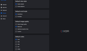 RustDesk display settings