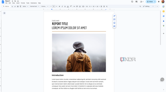 A screenshot of a Google Doc.