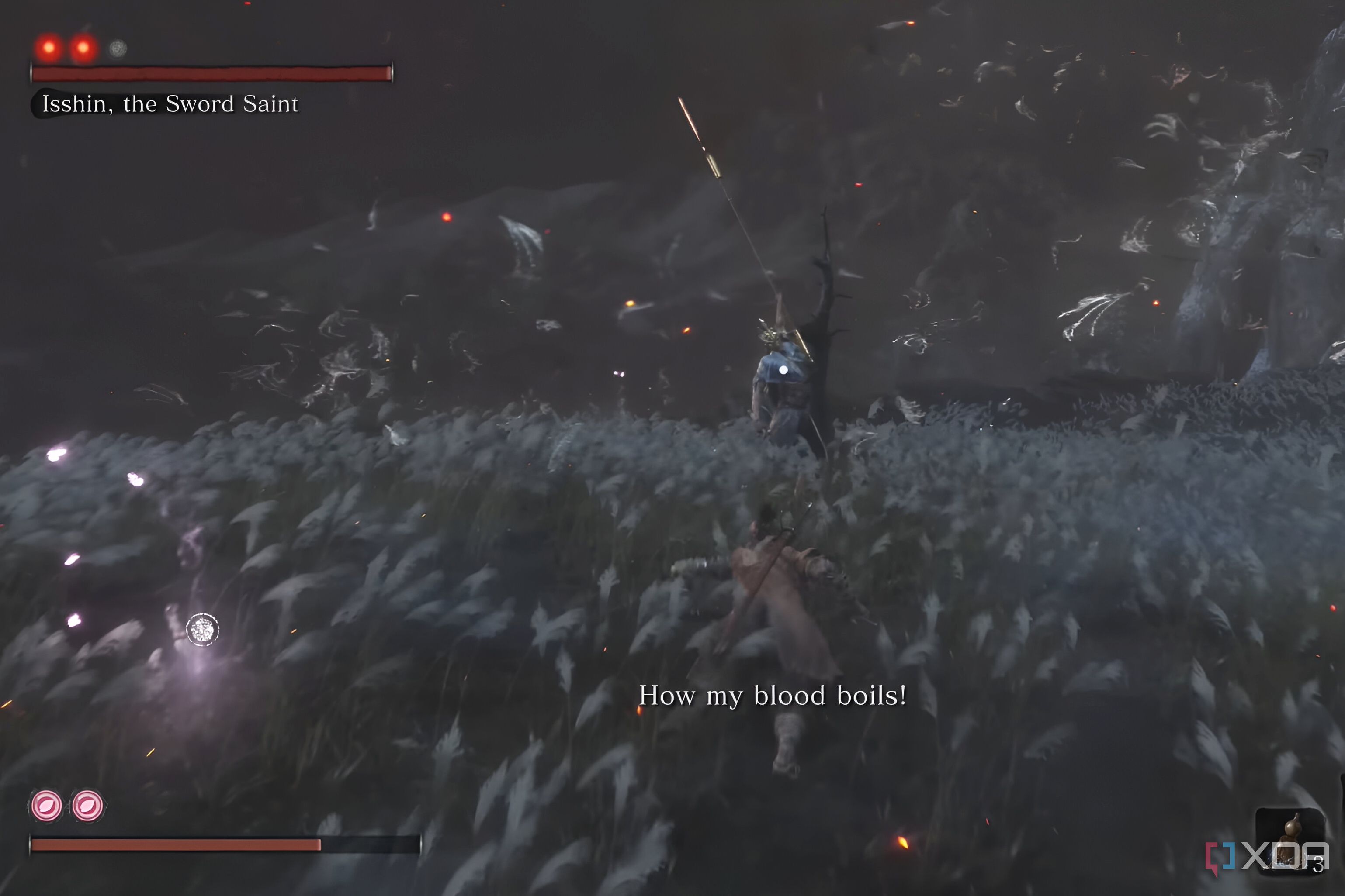An image from the game Sekiro: Shadows Die Twice, showing the final boss fight in a field.